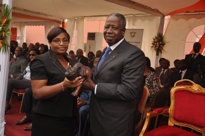 Secteur pétrole et énergie: De grandes réalisations pour l’année 2015